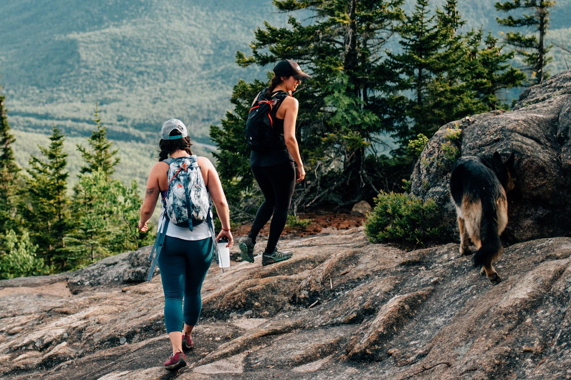 Share The Code 01 Hero